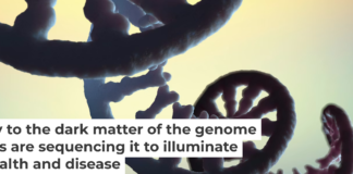 There is still a great deal unknown about RNA and its modifications. Christoph Burgstedt/Science Photo Library via Getty Images